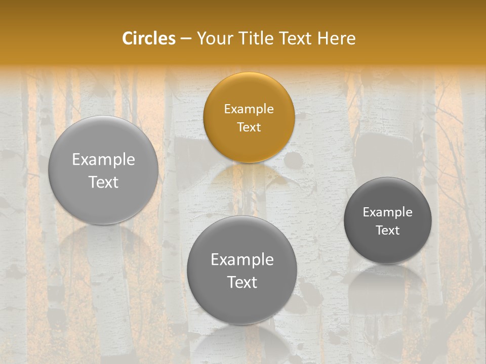 A Group Of Trees With Yellow Leaves In The Background PowerPoint Template
