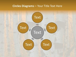 A Group Of Trees With Yellow Leaves In The Background PowerPoint Template