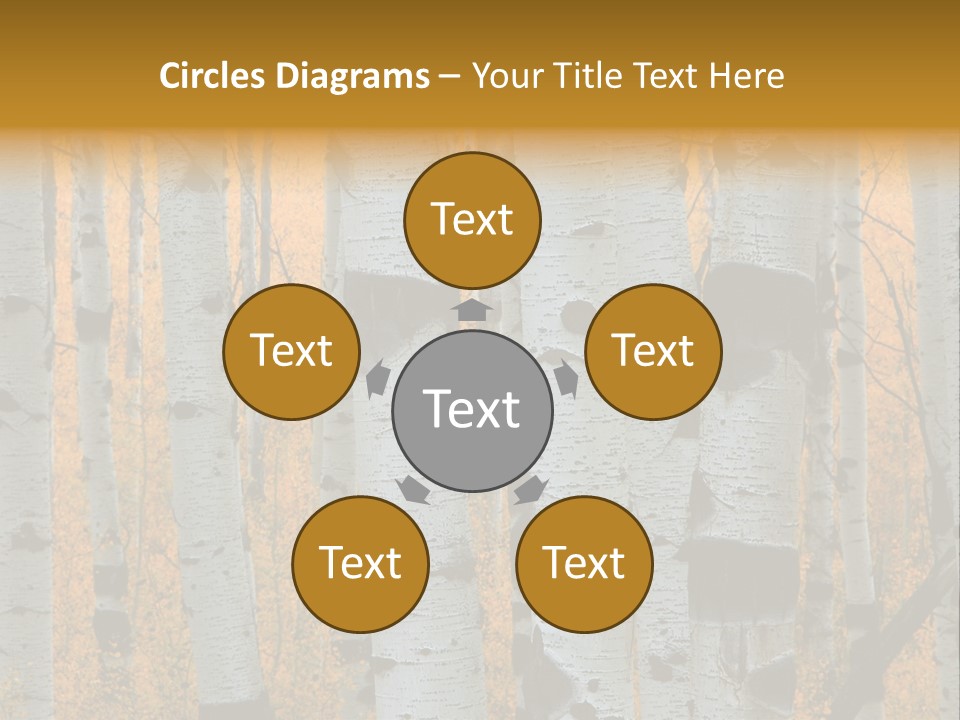 A Group Of Trees With Yellow Leaves In The Background PowerPoint Template