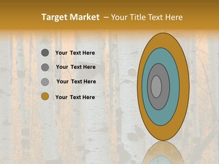 A Group Of Trees With Yellow Leaves In The Background PowerPoint Template