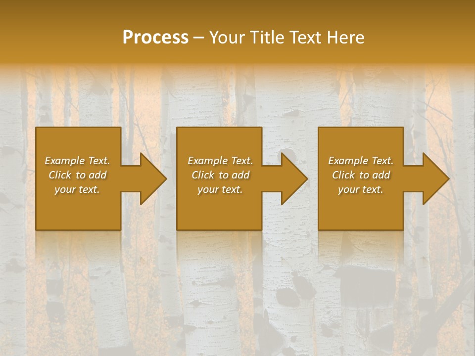A Group Of Trees With Yellow Leaves In The Background PowerPoint Template