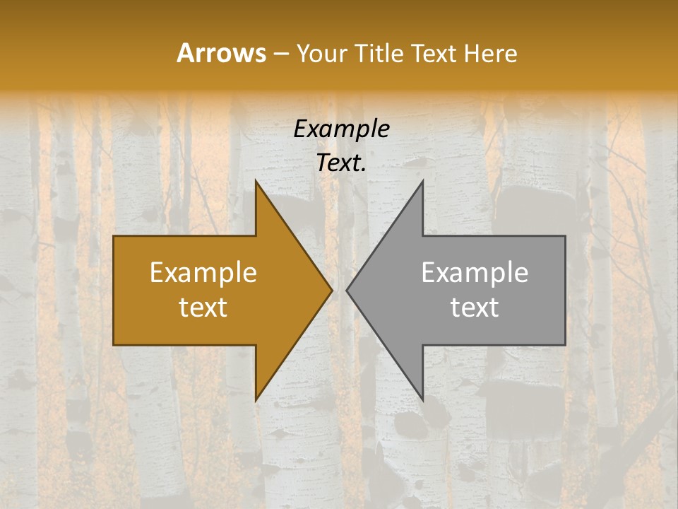 A Group Of Trees With Yellow Leaves In The Background PowerPoint Template