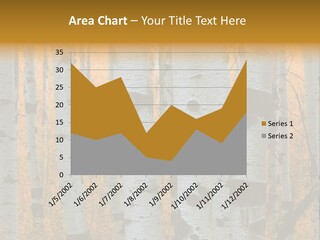 A Group Of Trees With Yellow Leaves In The Background PowerPoint Template