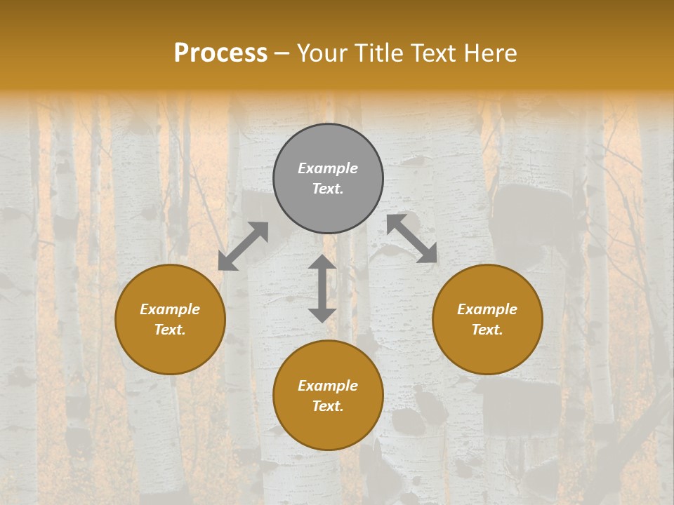 A Group Of Trees With Yellow Leaves In The Background PowerPoint Template