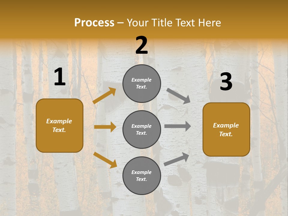 A Group Of Trees With Yellow Leaves In The Background PowerPoint Template