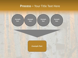 A Group Of Trees With Yellow Leaves In The Background PowerPoint Template