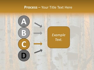 A Group Of Trees With Yellow Leaves In The Background PowerPoint Template