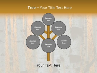 A Group Of Trees With Yellow Leaves In The Background PowerPoint Template