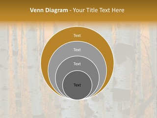 A Group Of Trees With Yellow Leaves In The Background PowerPoint Template