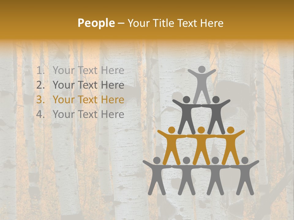 A Group Of Trees With Yellow Leaves In The Background PowerPoint Template
