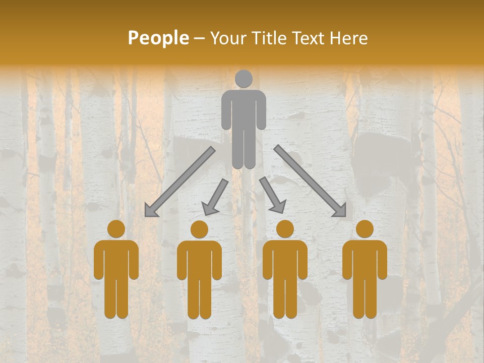 A Group Of Trees With Yellow Leaves In The Background PowerPoint Template