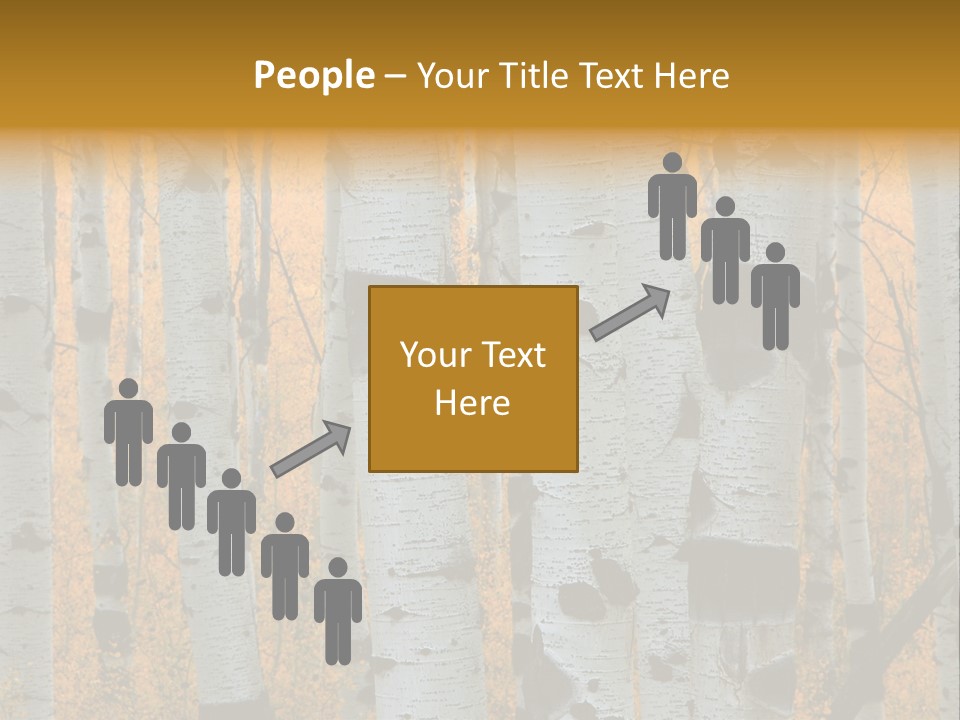 A Group Of Trees With Yellow Leaves In The Background PowerPoint Template
