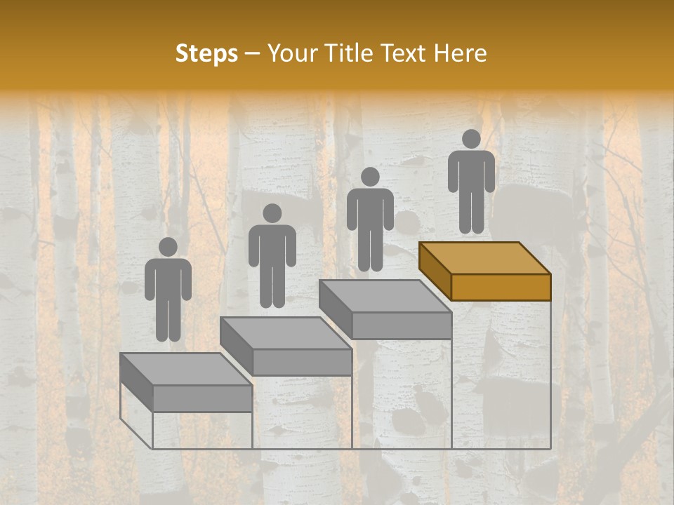 A Group Of Trees With Yellow Leaves In The Background PowerPoint Template