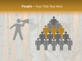 A Group Of Trees With Yellow Leaves In The Background PowerPoint Template