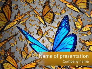 A Group Of Yellow And Blue Butterflies On A Gray Background PowerPoint Template