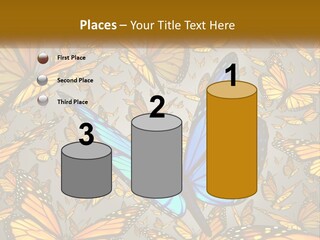 A Group Of Yellow And Blue Butterflies On A Gray Background PowerPoint Template