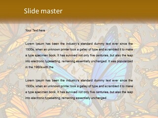 A Group Of Yellow And Blue Butterflies On A Gray Background PowerPoint Template