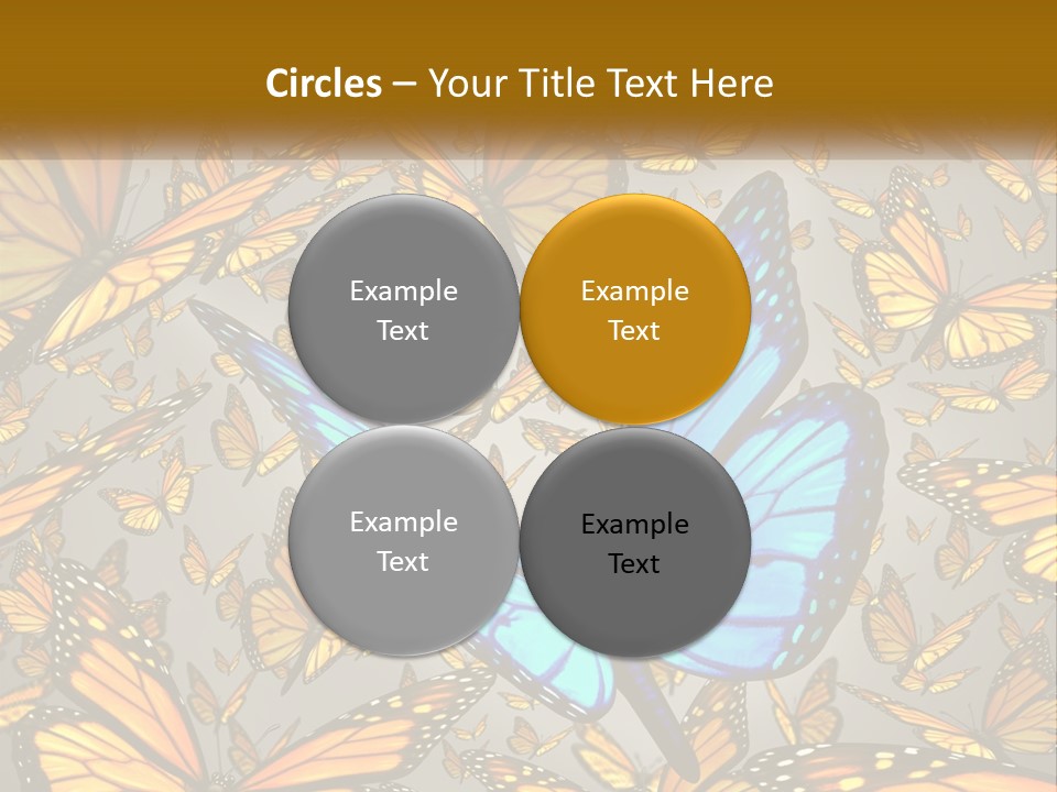 A Group Of Yellow And Blue Butterflies On A Gray Background PowerPoint Template