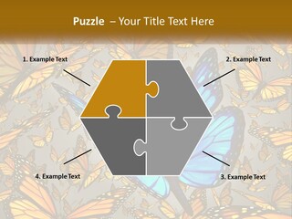 A Group Of Yellow And Blue Butterflies On A Gray Background PowerPoint Template