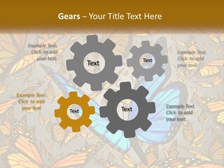 A Group Of Yellow And Blue Butterflies On A Gray Background PowerPoint Template