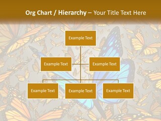 A Group Of Yellow And Blue Butterflies On A Gray Background PowerPoint Template