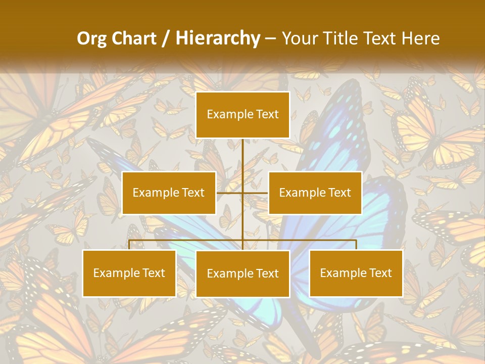 A Group Of Yellow And Blue Butterflies On A Gray Background PowerPoint Template