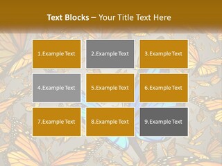 A Group Of Yellow And Blue Butterflies On A Gray Background PowerPoint Template