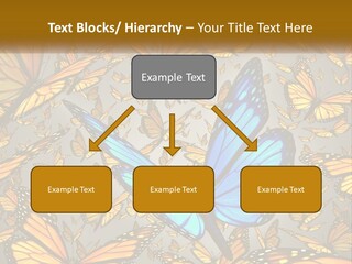 A Group Of Yellow And Blue Butterflies On A Gray Background PowerPoint Template