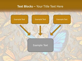 A Group Of Yellow And Blue Butterflies On A Gray Background PowerPoint Template