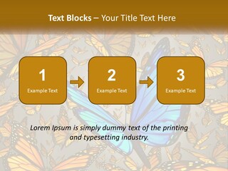 A Group Of Yellow And Blue Butterflies On A Gray Background PowerPoint Template