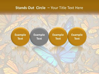 A Group Of Yellow And Blue Butterflies On A Gray Background PowerPoint Template