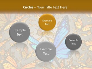 A Group Of Yellow And Blue Butterflies On A Gray Background PowerPoint Template