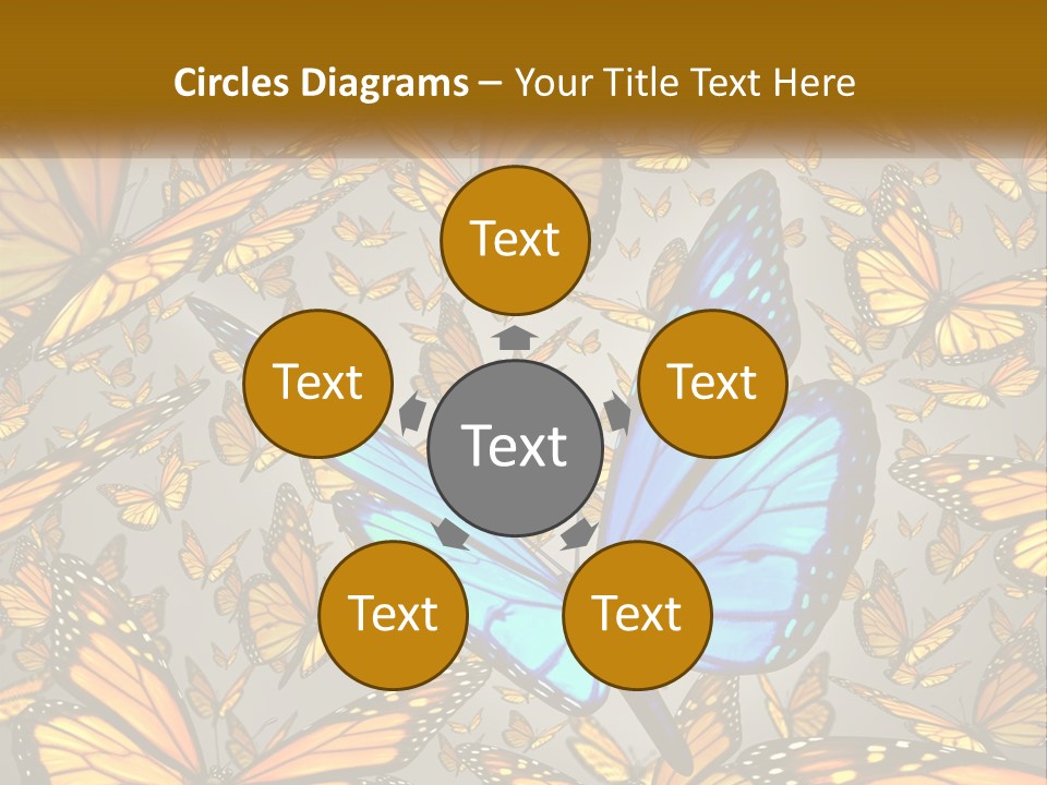 A Group Of Yellow And Blue Butterflies On A Gray Background PowerPoint Template