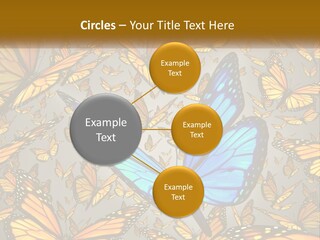 A Group Of Yellow And Blue Butterflies On A Gray Background PowerPoint Template