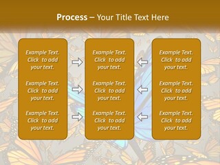 A Group Of Yellow And Blue Butterflies On A Gray Background PowerPoint Template