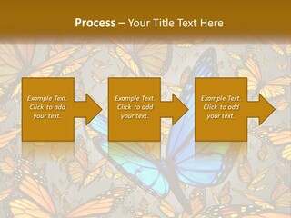 A Group Of Yellow And Blue Butterflies On A Gray Background PowerPoint Template