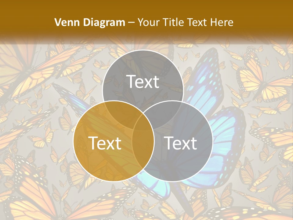 A Group Of Yellow And Blue Butterflies On A Gray Background PowerPoint Template