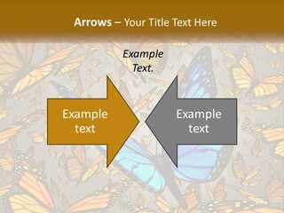 A Group Of Yellow And Blue Butterflies On A Gray Background PowerPoint Template