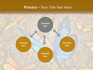 A Group Of Yellow And Blue Butterflies On A Gray Background PowerPoint Template