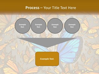 A Group Of Yellow And Blue Butterflies On A Gray Background PowerPoint Template