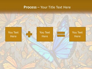 A Group Of Yellow And Blue Butterflies On A Gray Background PowerPoint Template