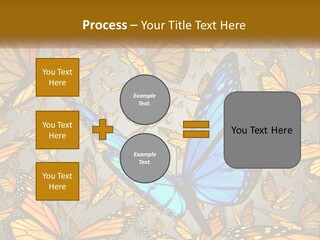 A Group Of Yellow And Blue Butterflies On A Gray Background PowerPoint Template