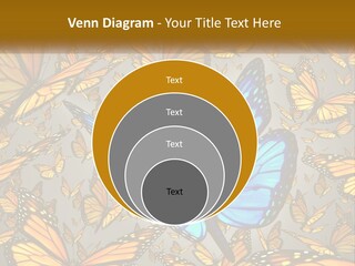 A Group Of Yellow And Blue Butterflies On A Gray Background PowerPoint Template