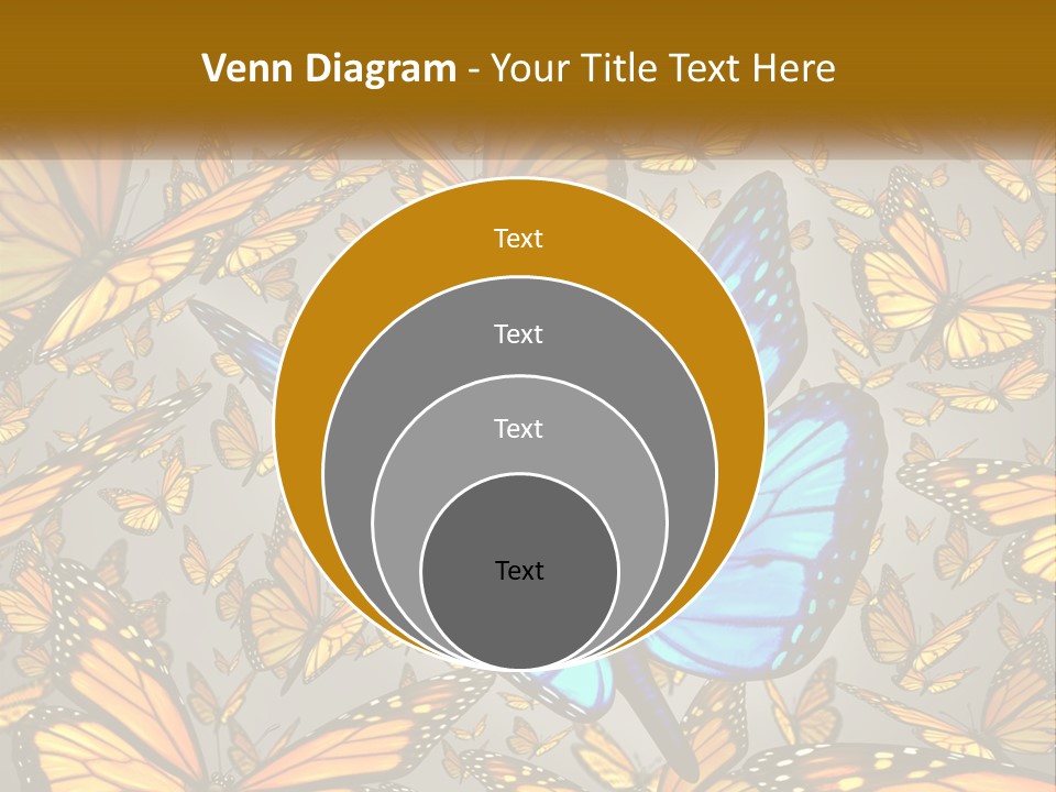 A Group Of Yellow And Blue Butterflies On A Gray Background PowerPoint Template