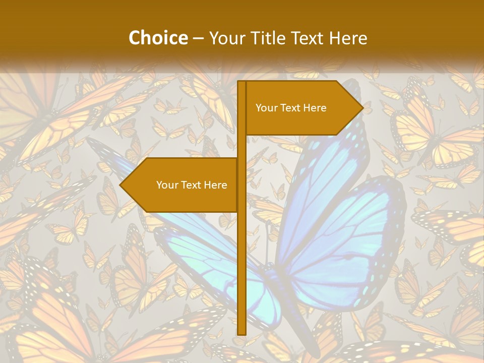 A Group Of Yellow And Blue Butterflies On A Gray Background PowerPoint Template