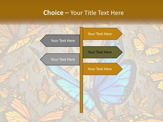 A Group Of Yellow And Blue Butterflies On A Gray Background PowerPoint Template