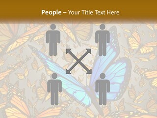 A Group Of Yellow And Blue Butterflies On A Gray Background PowerPoint Template