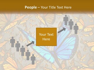 A Group Of Yellow And Blue Butterflies On A Gray Background PowerPoint Template