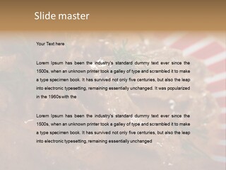 A Red And White Plate Topped With Meat Covered In Gravy PowerPoint Template