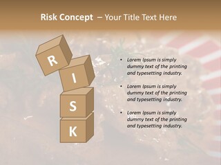 A Red And White Plate Topped With Meat Covered In Gravy PowerPoint Template